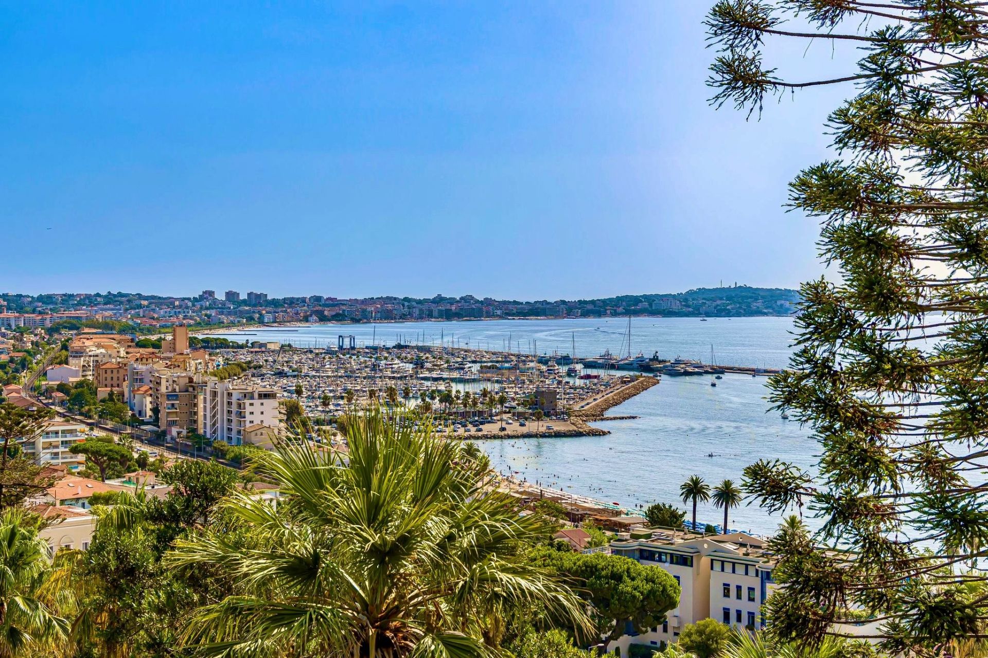 apartment 3 Rooms for sale on LE GOLFE JUAN (06220)