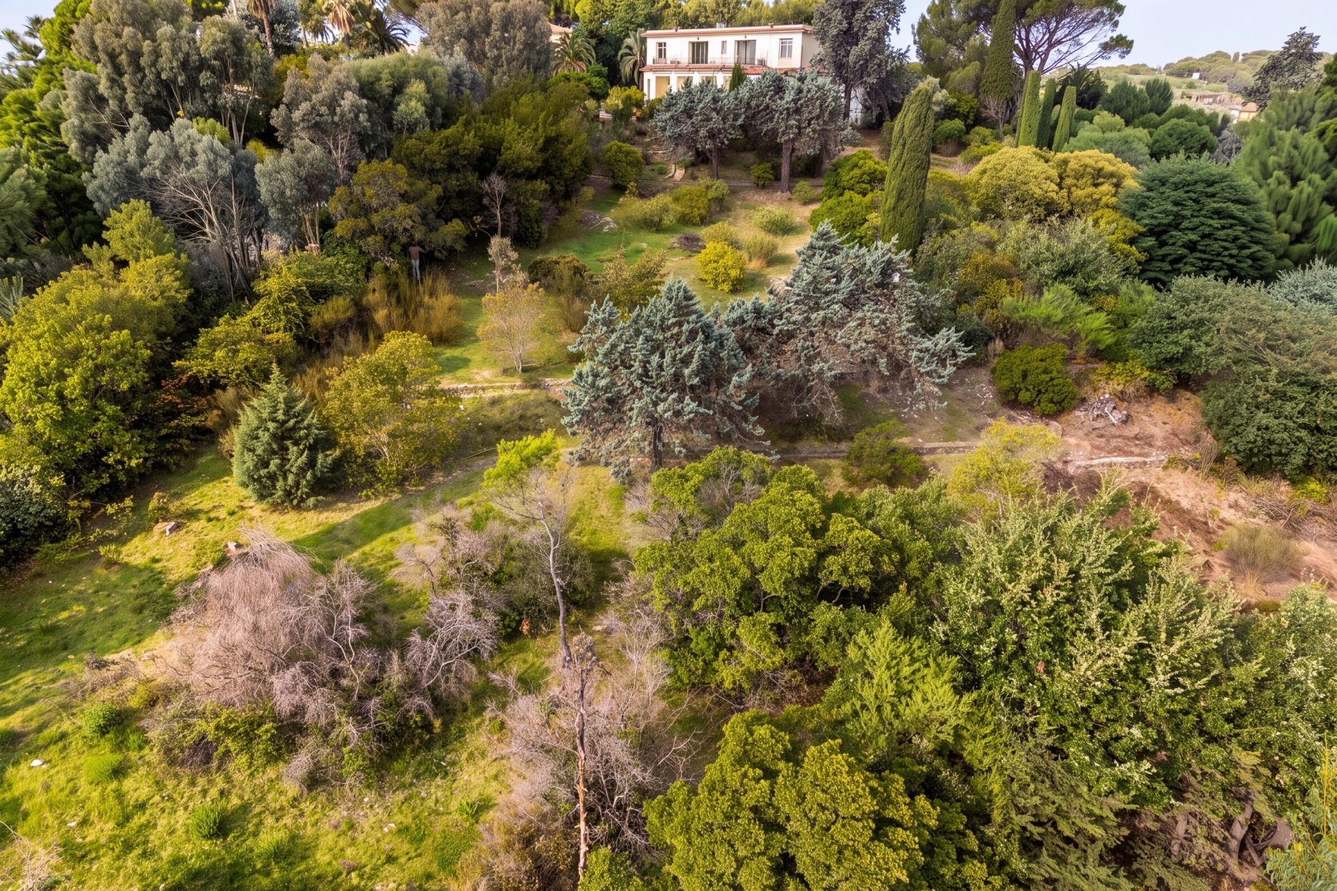 land for sale on VALLAURIS (06220)