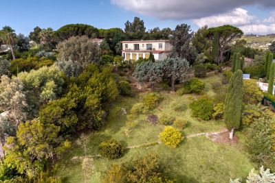 Sale Land Vallauris 6071&nbsp;m²