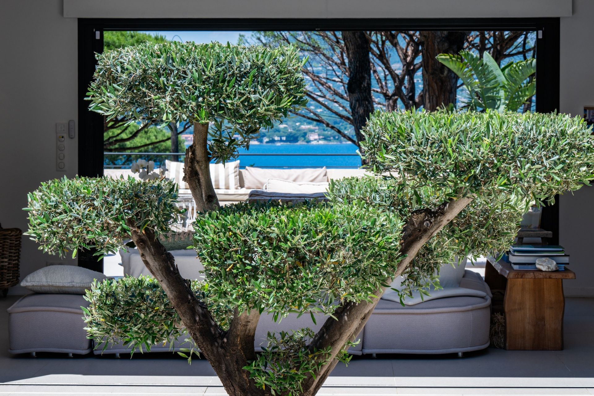 contemporary house 9 Rooms for sale on GASSIN (83580)