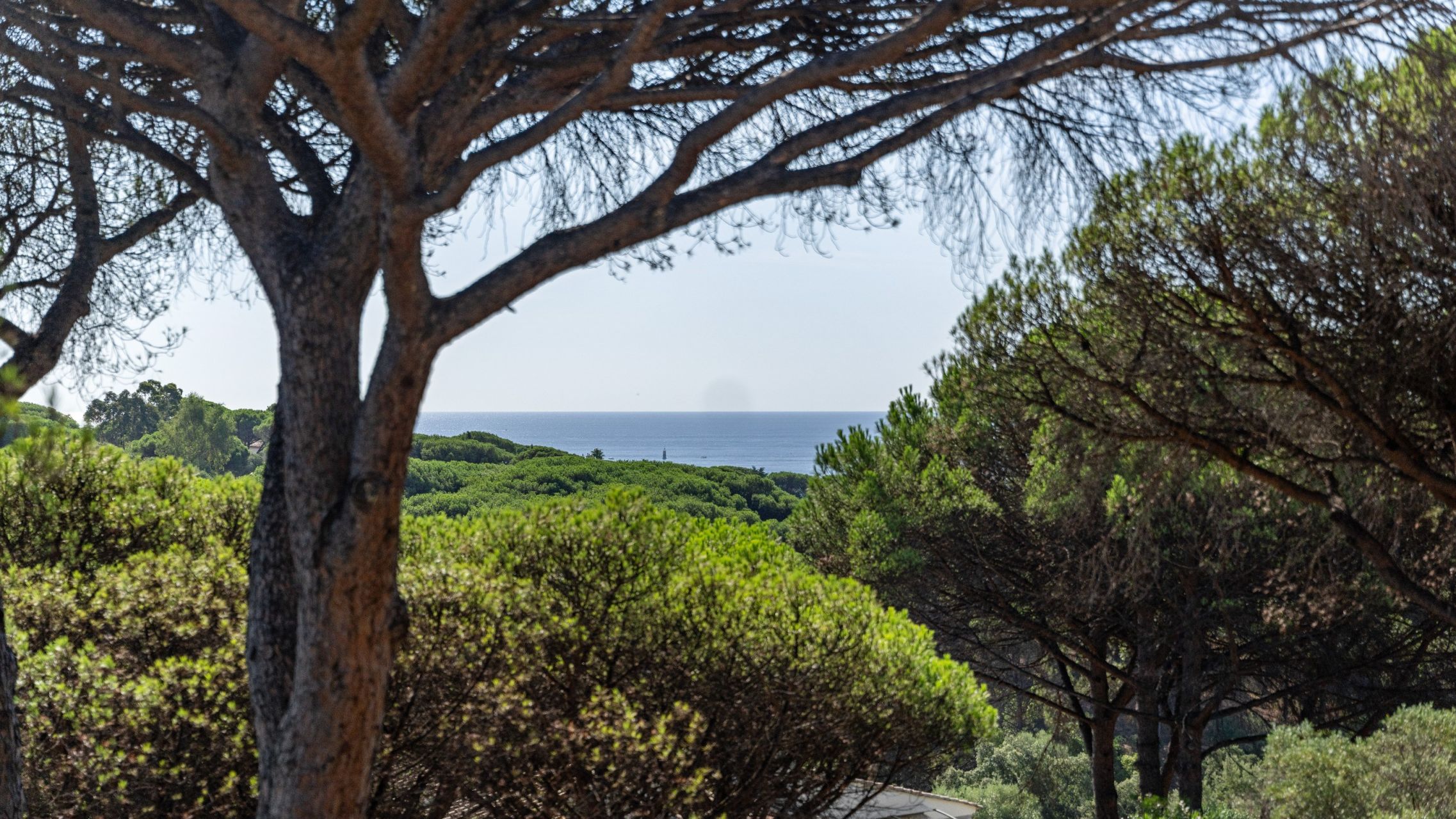 villa 5 Rooms for sale on STE MAXIME (83120)