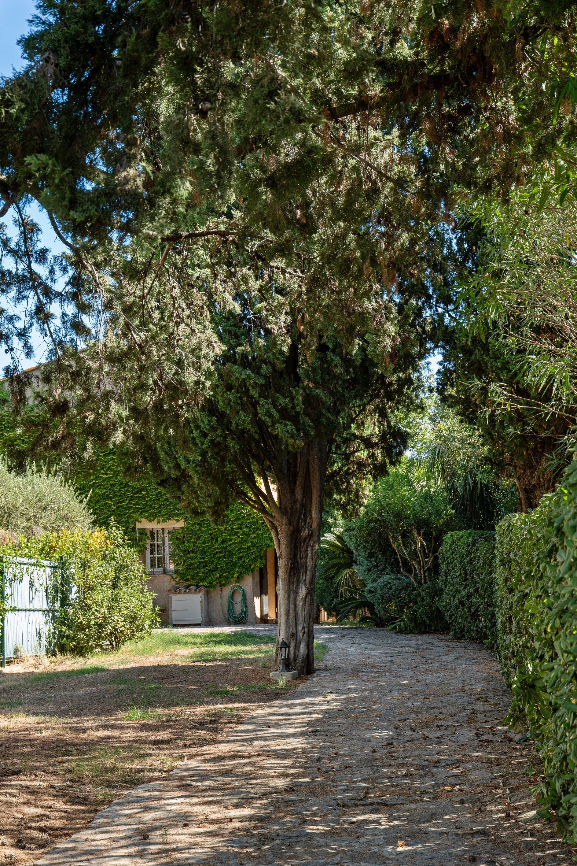 provencal house 5 Rooms for sale on ST TROPEZ (83990)