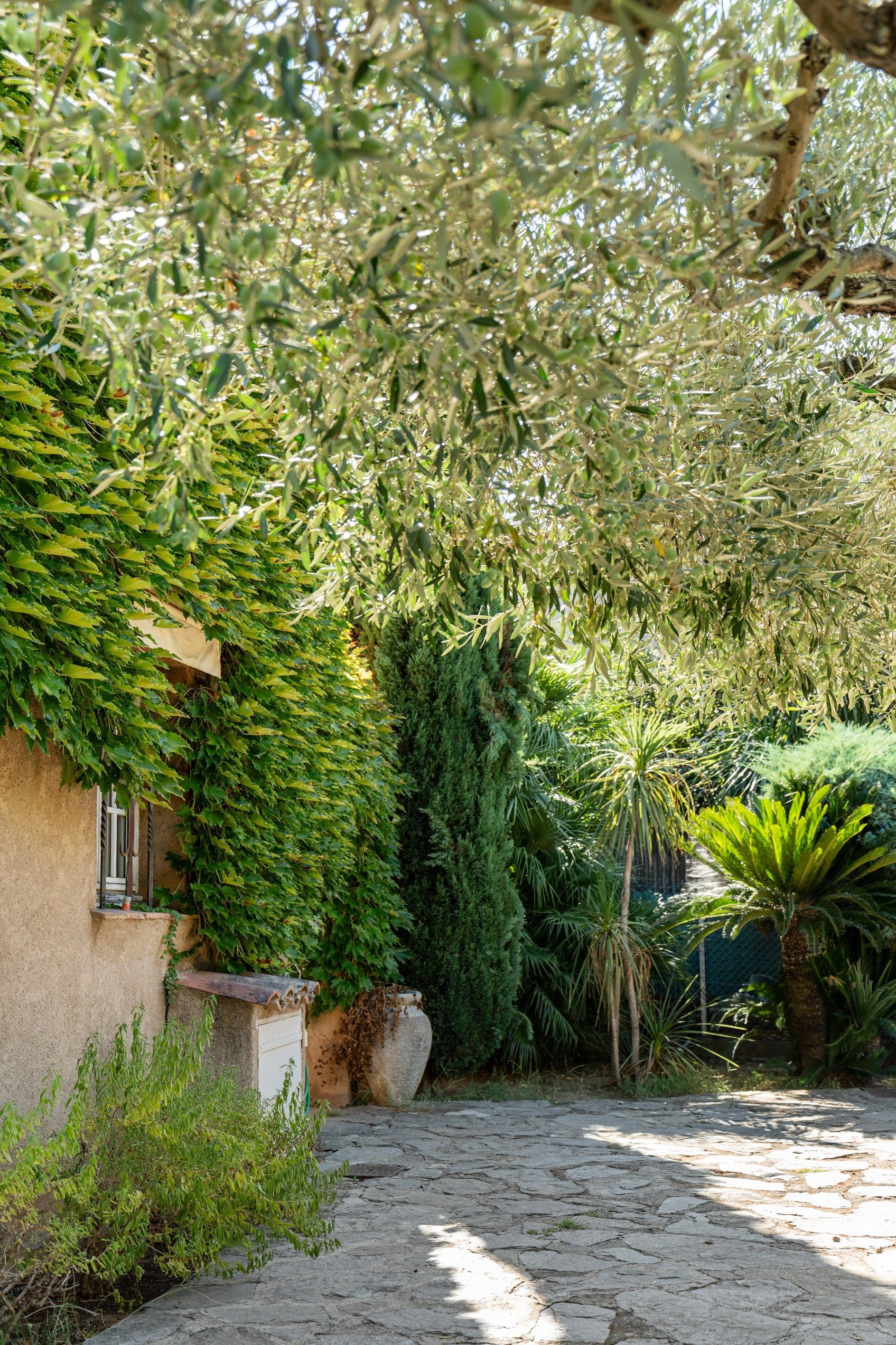 provencal house 5 Rooms for sale on ST TROPEZ (83990)