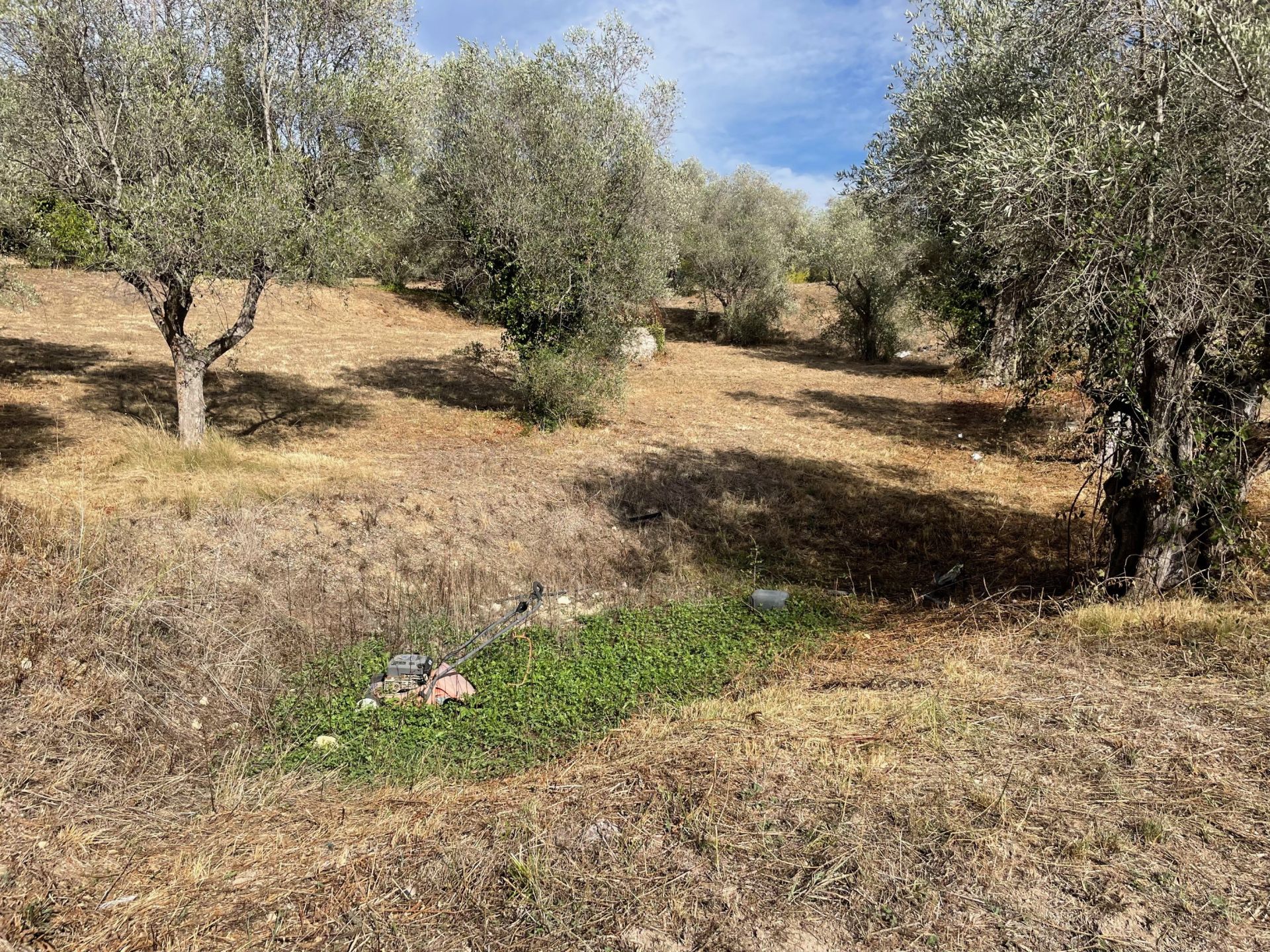 terrain en vente sur MOUGINS (06250)