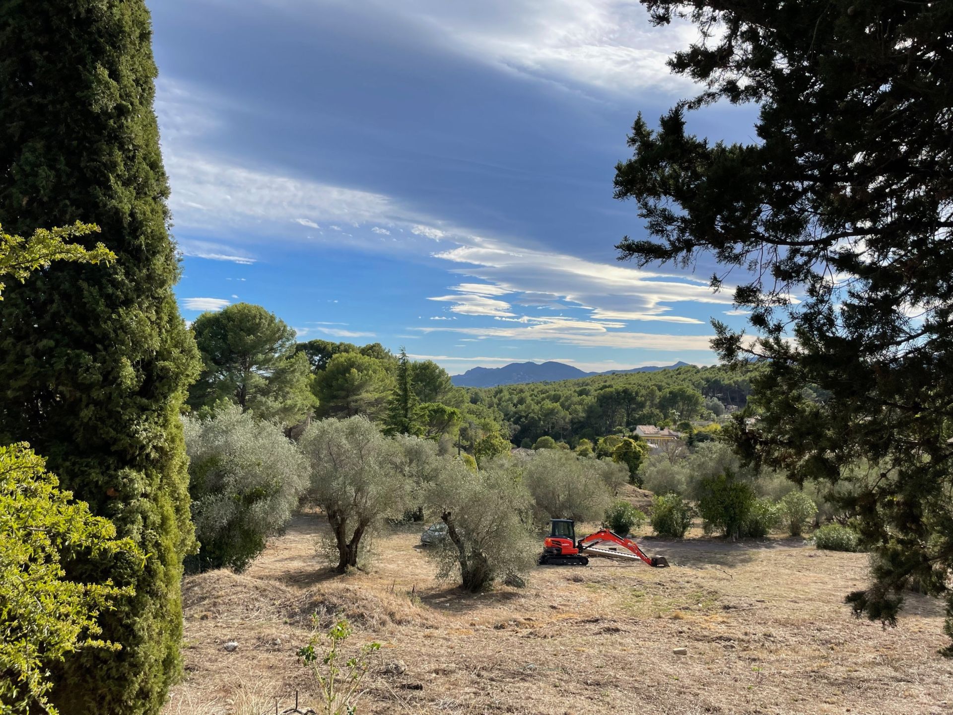 terrain en vente sur MOUGINS (06250)