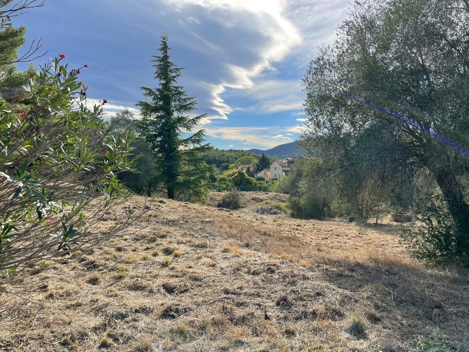 terrain en vente sur MOUGINS (06250)