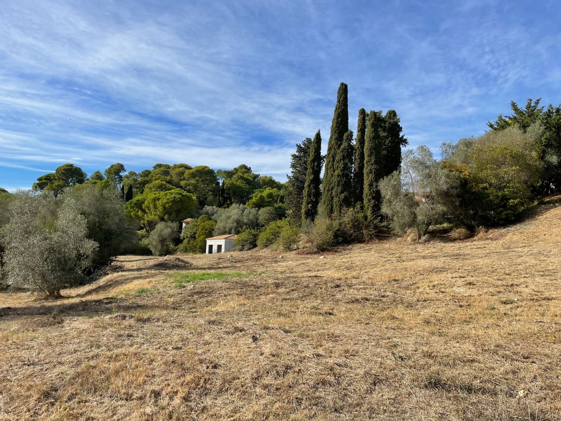terrain en vente sur MOUGINS (06250)