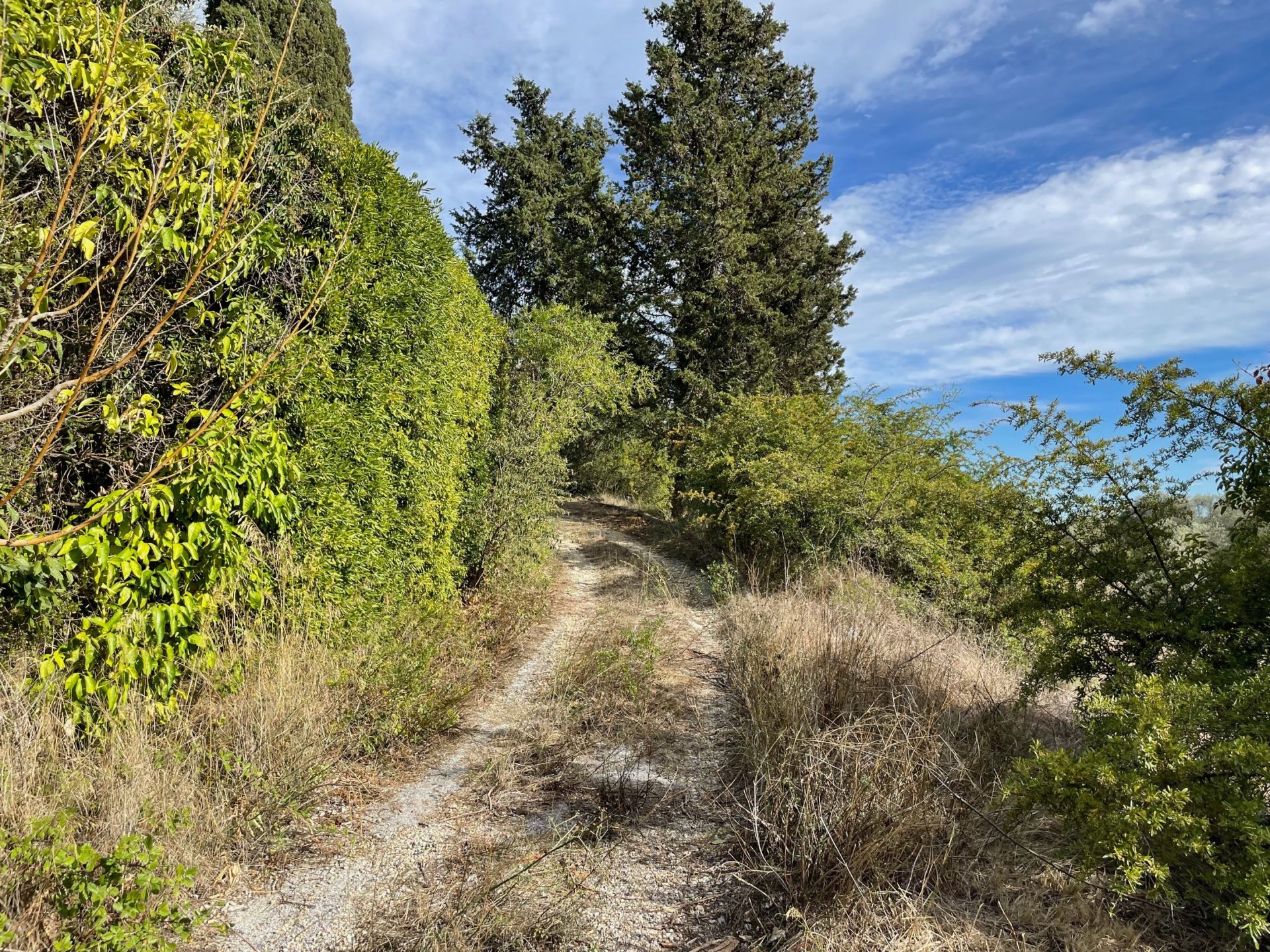 terrain en vente sur MOUGINS (06250)