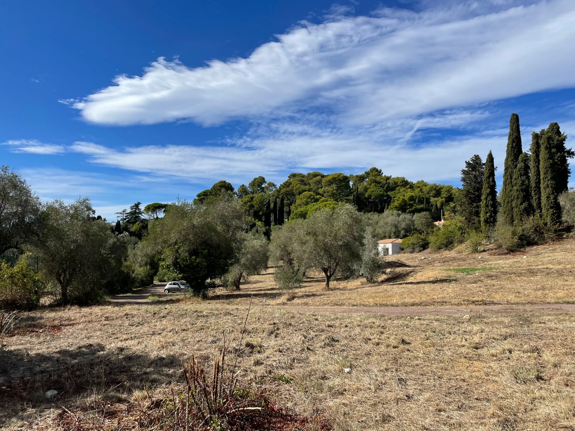 terrain en vente sur MOUGINS (06250)
