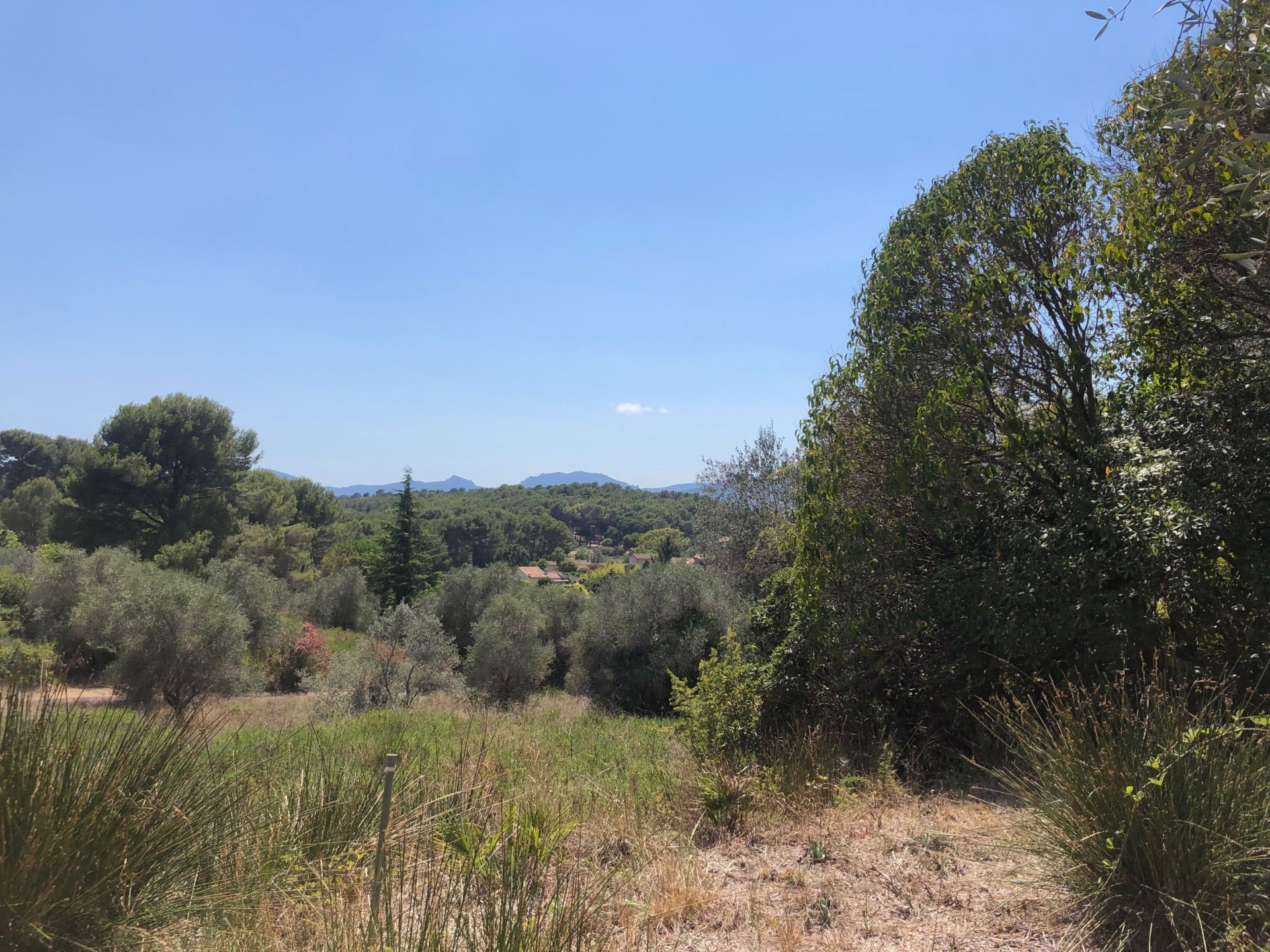 terrain en vente sur MOUGINS (06250)