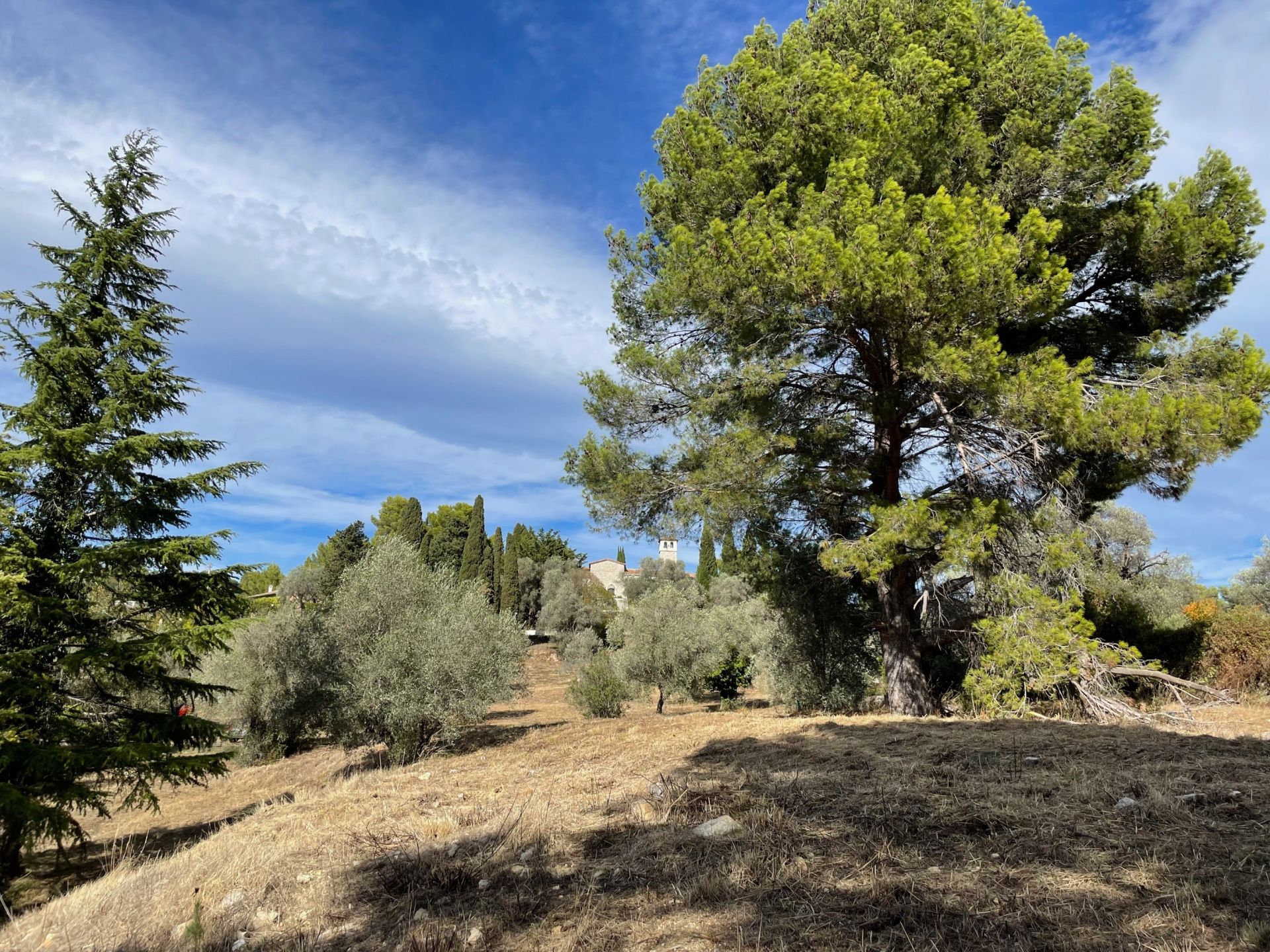 terrain en vente sur MOUGINS (06250)