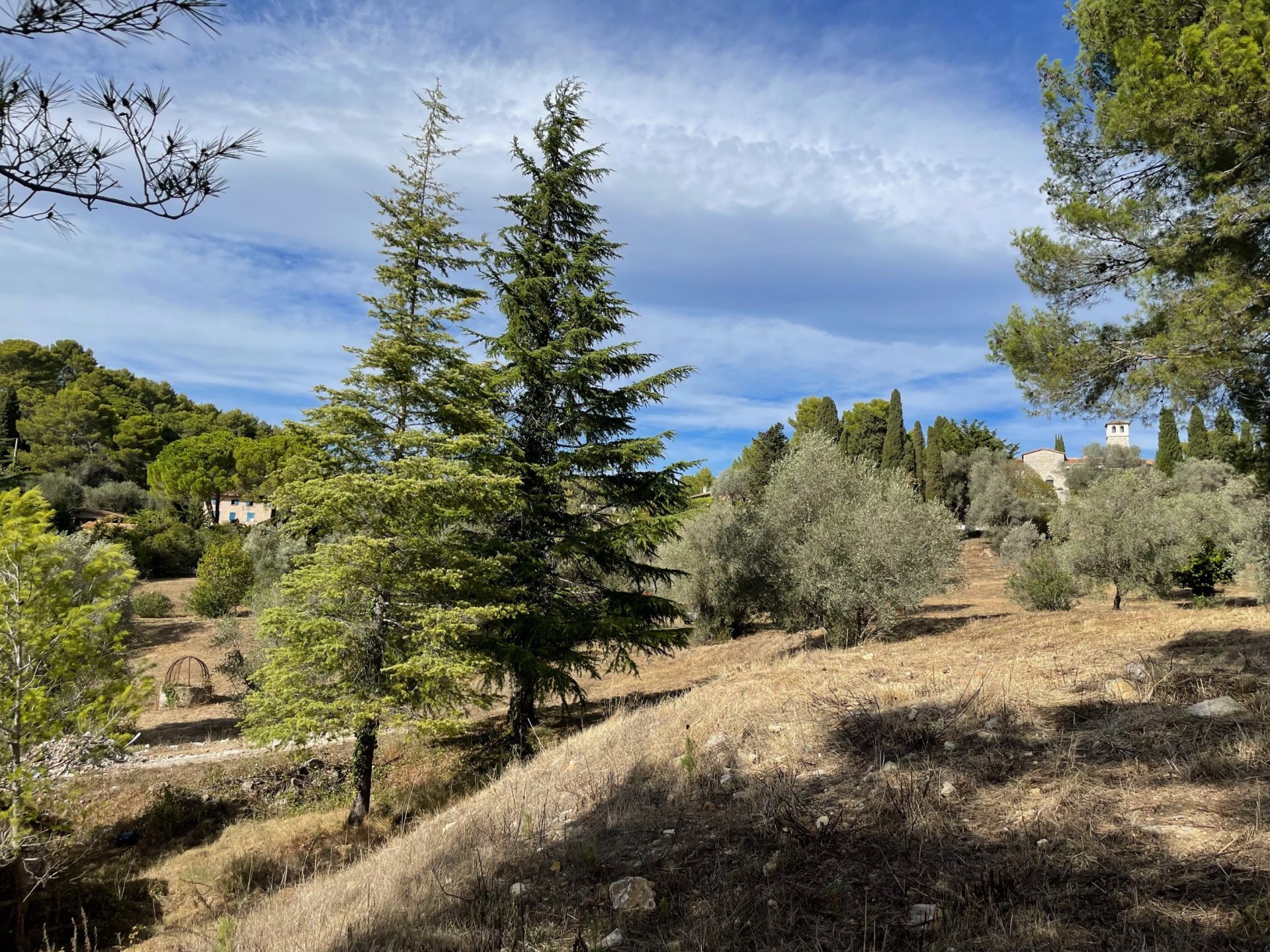 terrain en vente sur MOUGINS (06250)