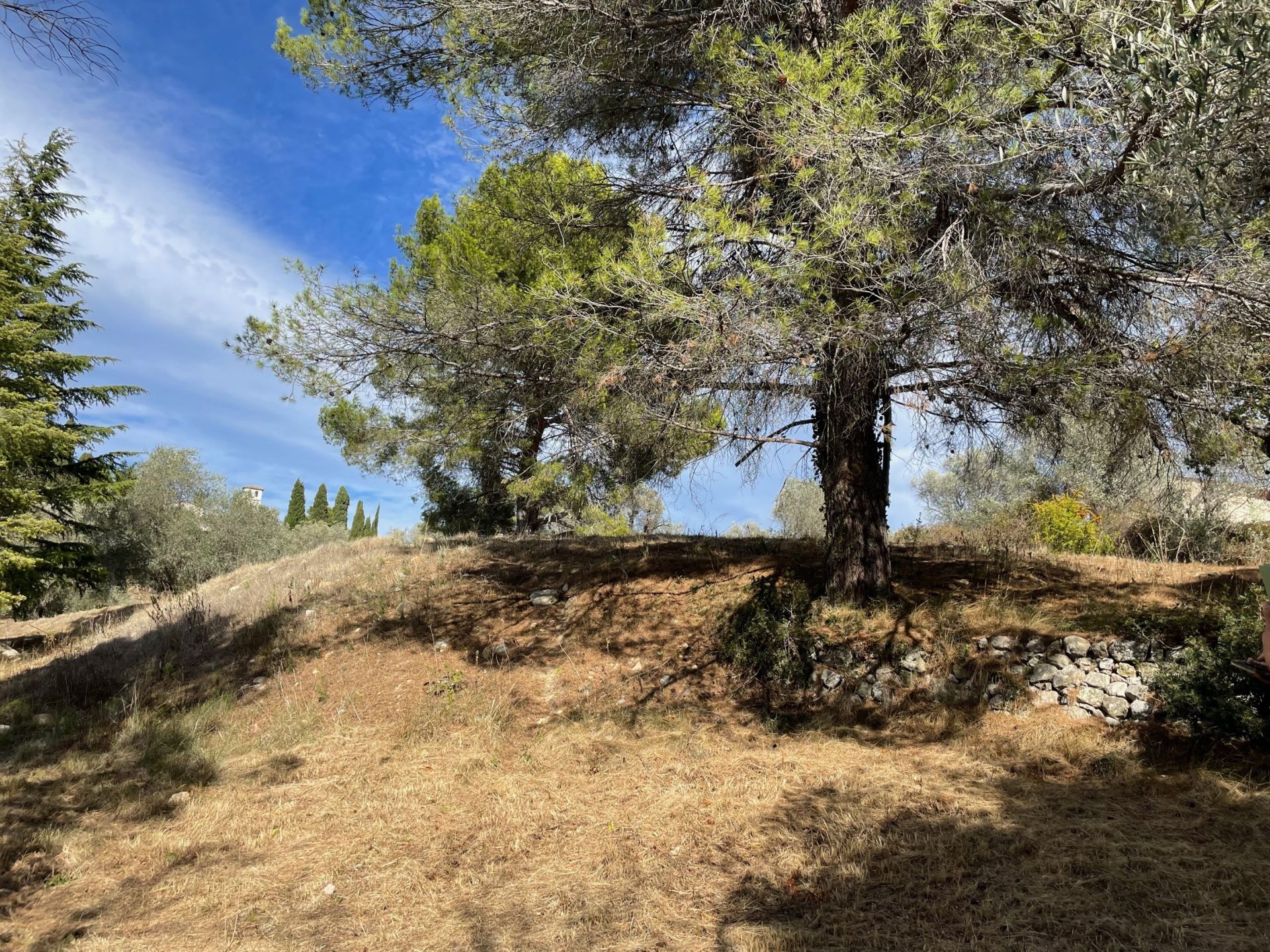 terrain en vente sur MOUGINS (06250)