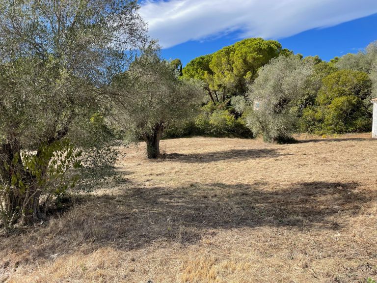 terrain en vente sur MOUGINS (06250)