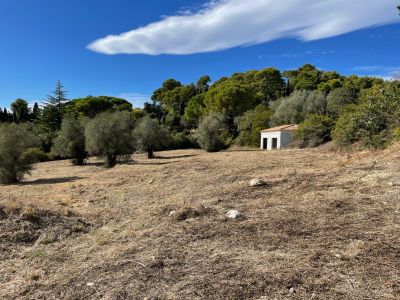 Vente Terrain Mougins 3.52&nbsp;ha