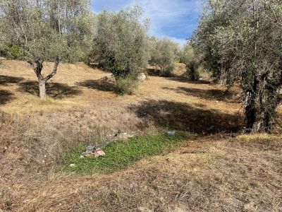 Vente Terrain Mougins 3.52&nbsp;ha