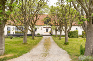 Trelleborg and Söderslätt: Refined Living on Sweden’s Southern Coast