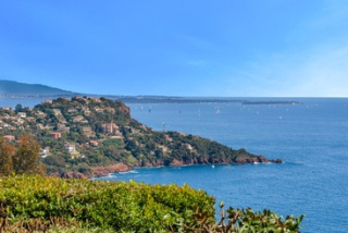 Your dedicated team for the Esterel region