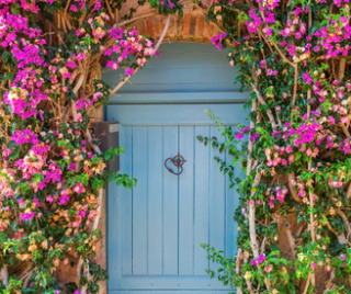 Sotheby’s International Realty, agence immobilière de luxe dans le Golfe de Saint Tropez