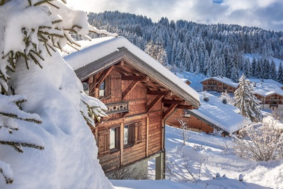 10 ski resorts for your next snowy break in the Alps