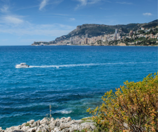 Acheter à Roquebrune Cap Martin