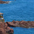 The Esterel and the Var Coastline: from the Issambres to Agay